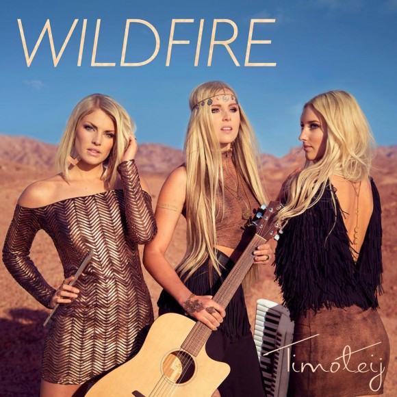 TimoteijWildfire e1422433198188